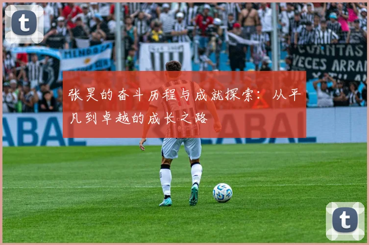 张昊的奋斗历程与成就探索：从平凡到卓越的成长之路