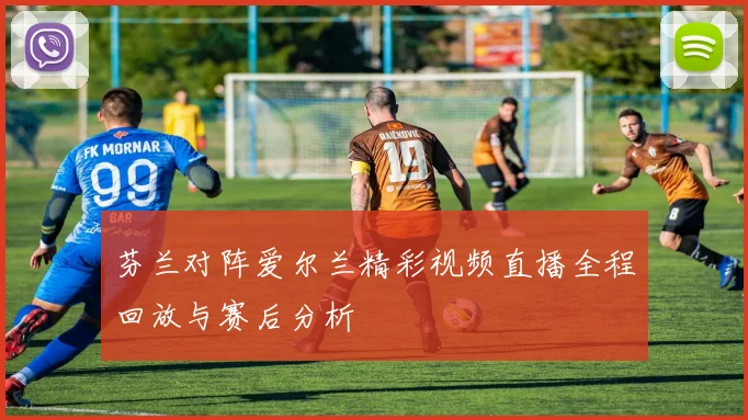 芬兰对阵爱尔兰精彩视频直播全程回放与赛后分析