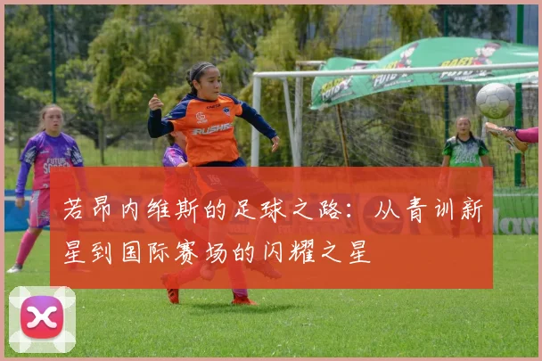 若昂内维斯的足球之路：从青训新星到国际赛场的闪耀之星