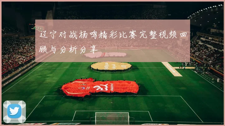 辽宁对战杨鸣精彩比赛完整视频回顾与分析分享