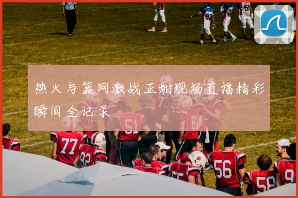 热火与篮网激战正酣现场直播精彩瞬间全记录