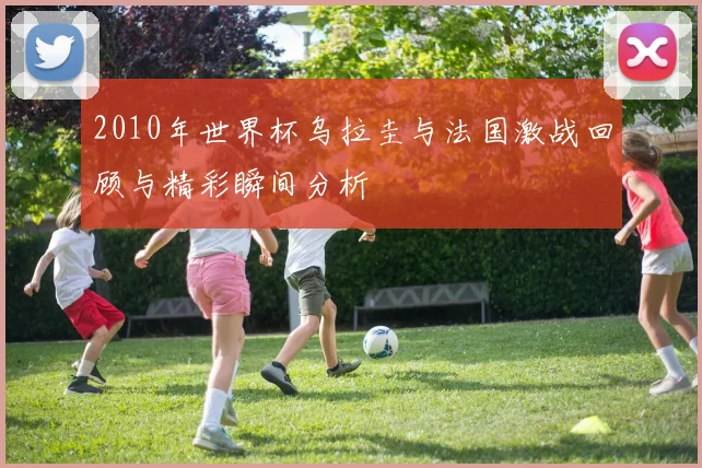 2010年世界杯乌拉圭与法国激战回顾与精彩瞬间分析
