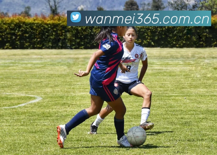 数据防护可视化